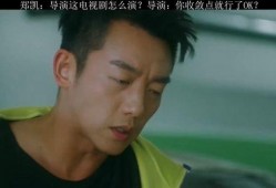 郑凯爆料宋茜视频大全集,视频大全集深度解析